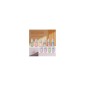 SALT NICOTINE 15ML 50MG - WOTOFO SALT NICOTINE 15ML 50MG - WOTOFO