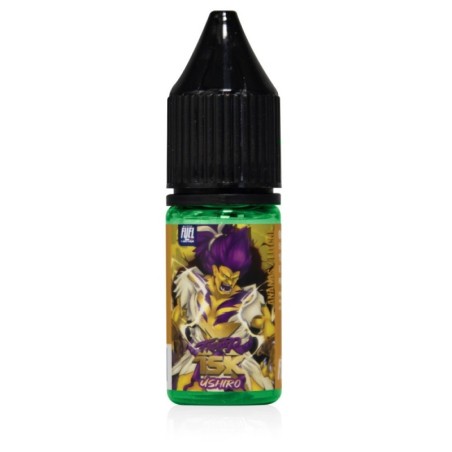 SALT 10ML 20MG - FIGHTER FUEL